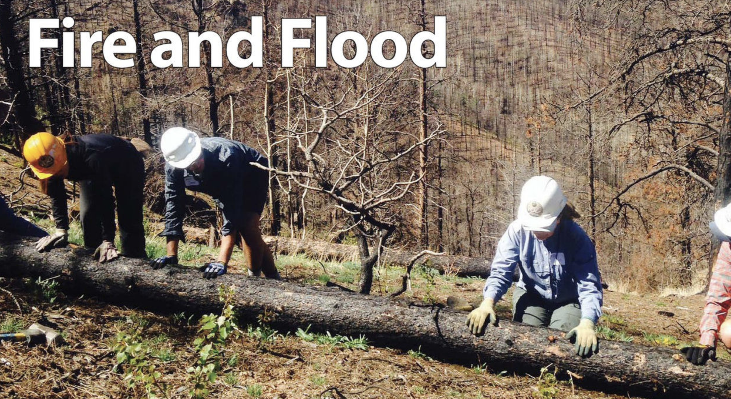 Fire and Flood: Volunteers for Outdoor Colorado crews restore flood and fire-damaged trails