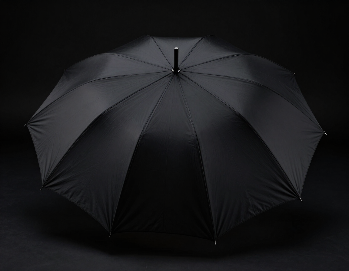 Large Umbrella